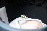 ch1848_sf_02_2025_262